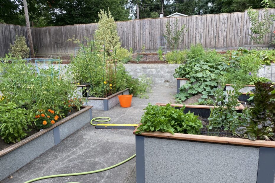 A community Garden on Concrete with a smoke grey color with Durable GreenBed Raised Garden Beds