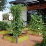 Full garden