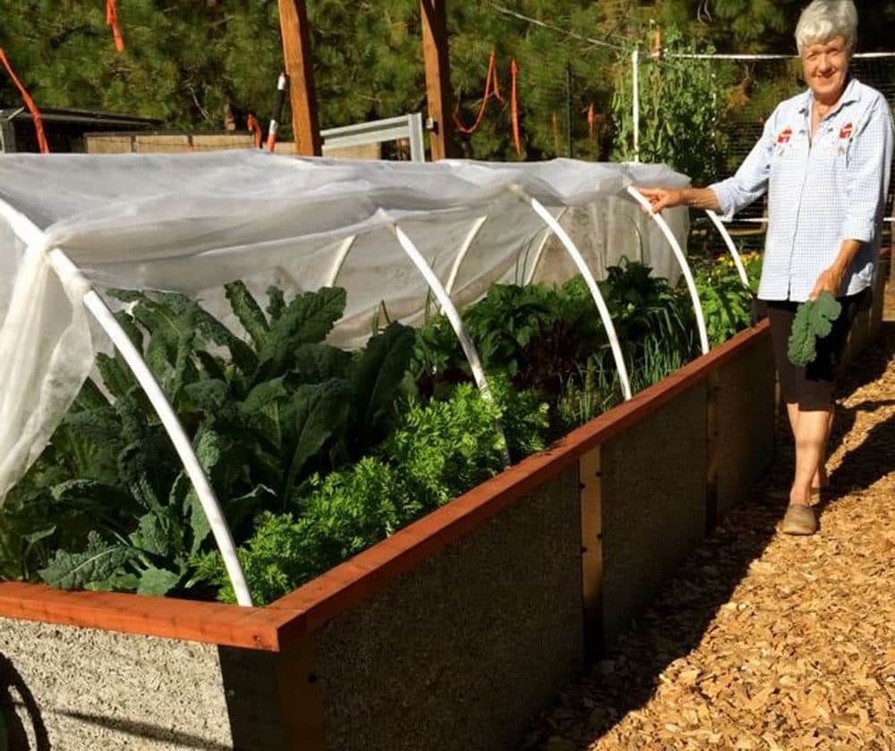 Raised Bed Kit Benefits