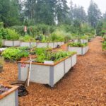Large community garden