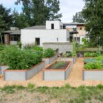 Large garden with 4x8 and L shaped DGBs