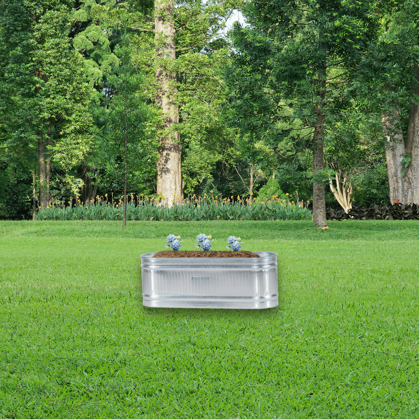 metal raised garden bed