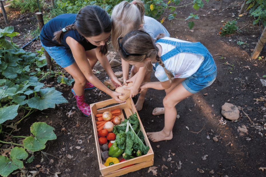 group of school children huddled around garden vegetables