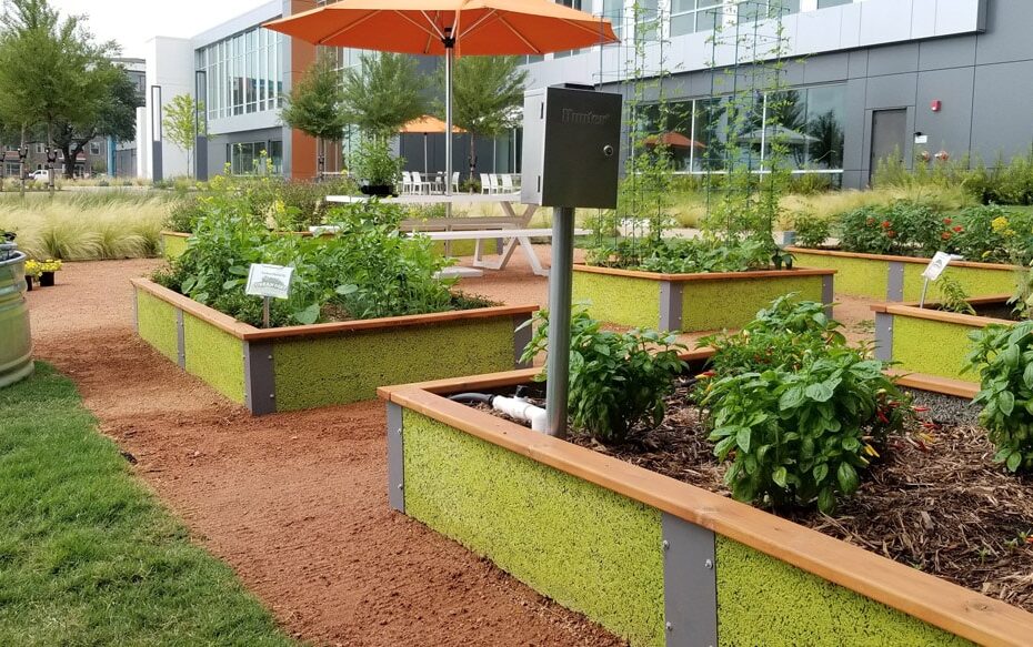 Culinary Raised Garden Urban Dirt Garden