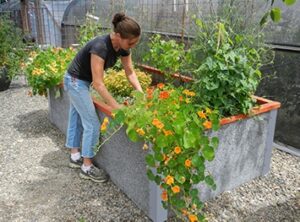 Two Foot Garden Bed Kits