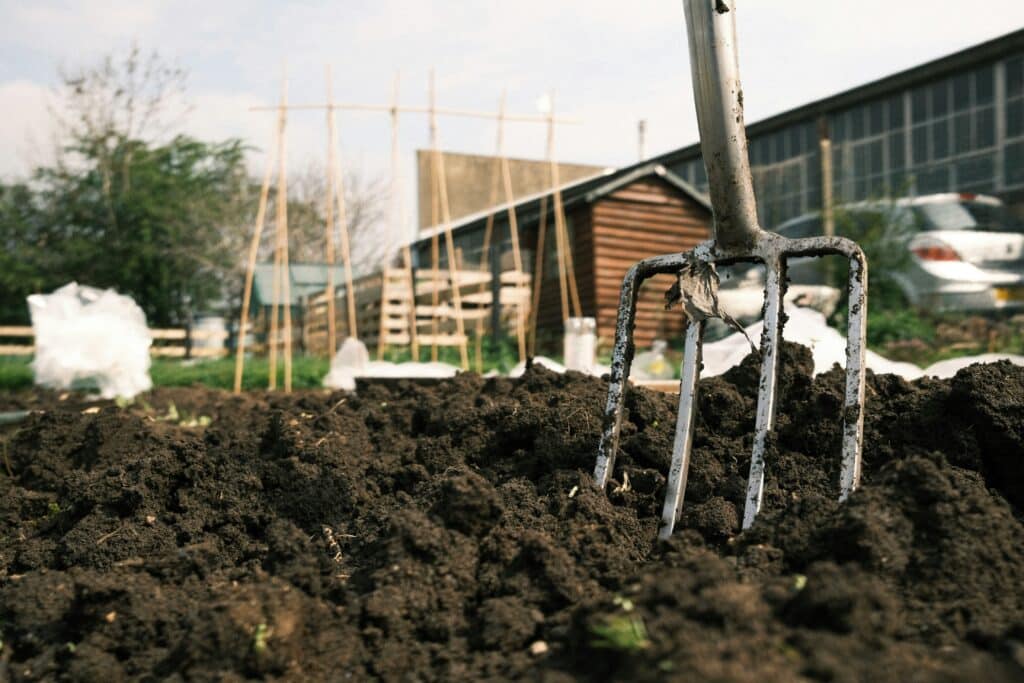 garden fork stuck in some freshly aerated soil