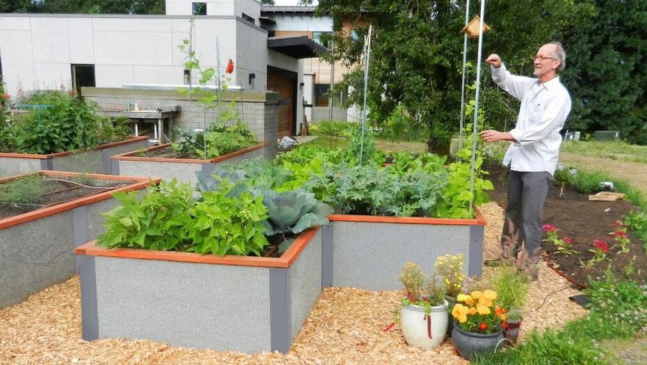man tending to raised garden beds ourside of a senior center
