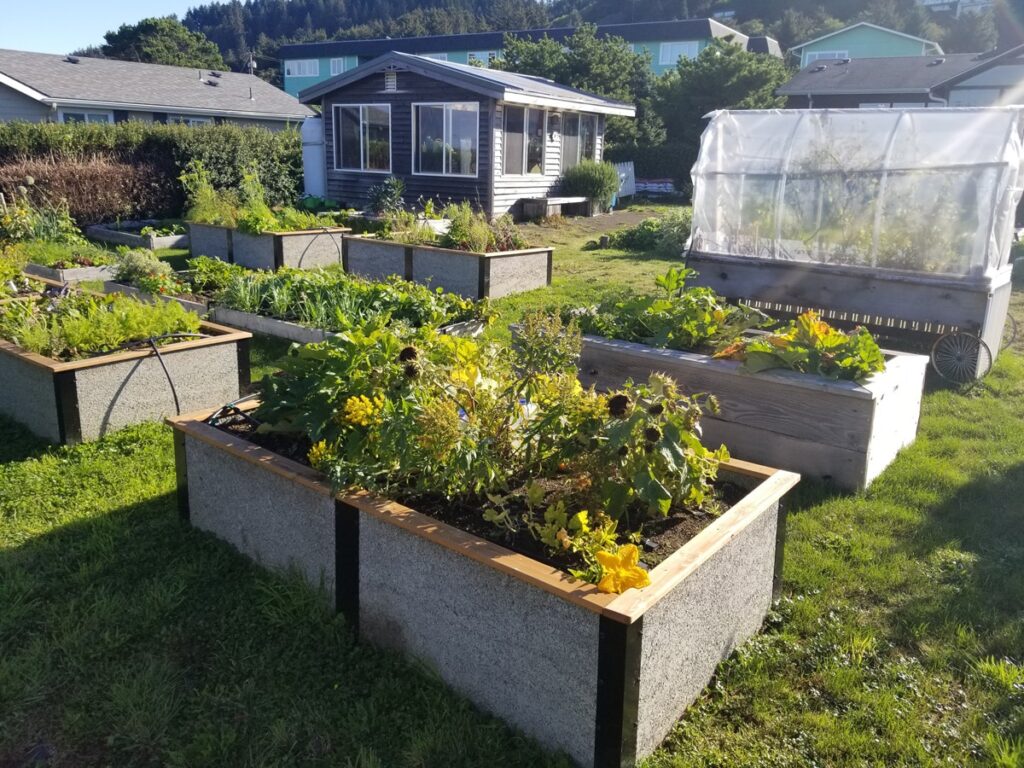 Cama de jardín elevada costera Master Gardeners